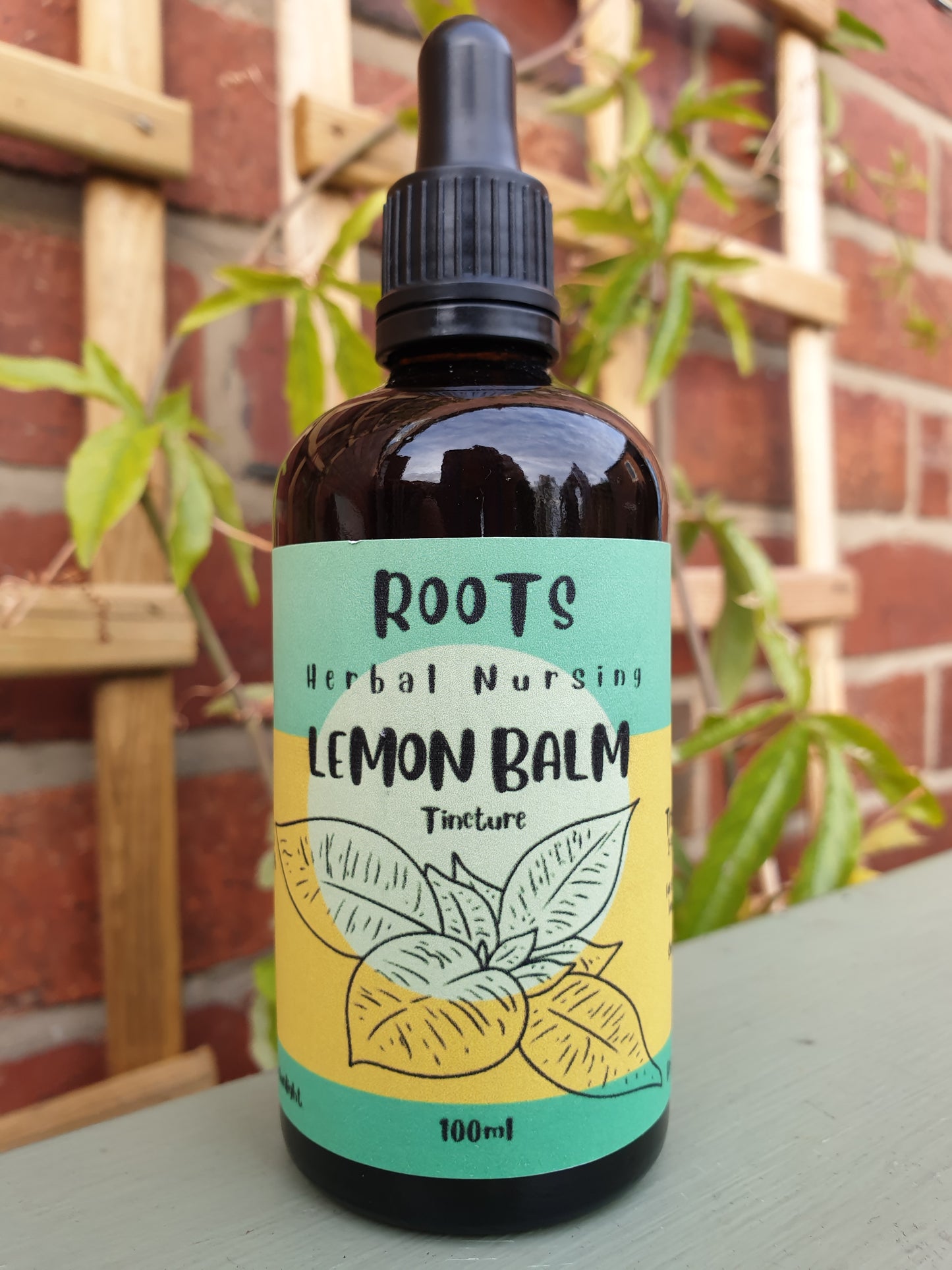 LEMON BALM 'Melissa officinalis'- herbal tincture for nervous system calming, stress reduction, and cognitive function support.