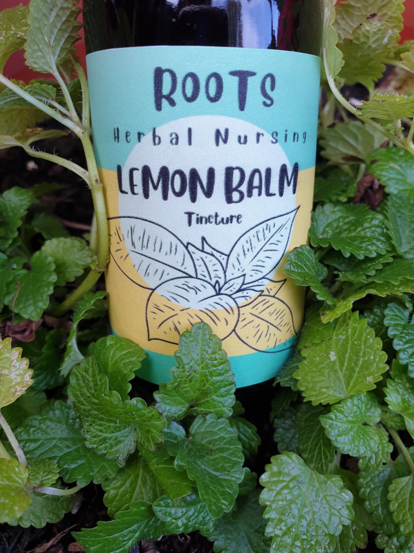 LEMON BALM 'Melissa officinalis'- herbal tincture for nervous system calming, stress reduction, and cognitive function support.